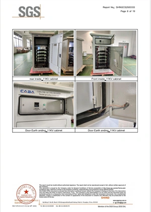 Gabinetes de resistencias de puesta a tierra de alta tensión de 5.5 kV y 11 kV solicitados por un cliente en Argelia